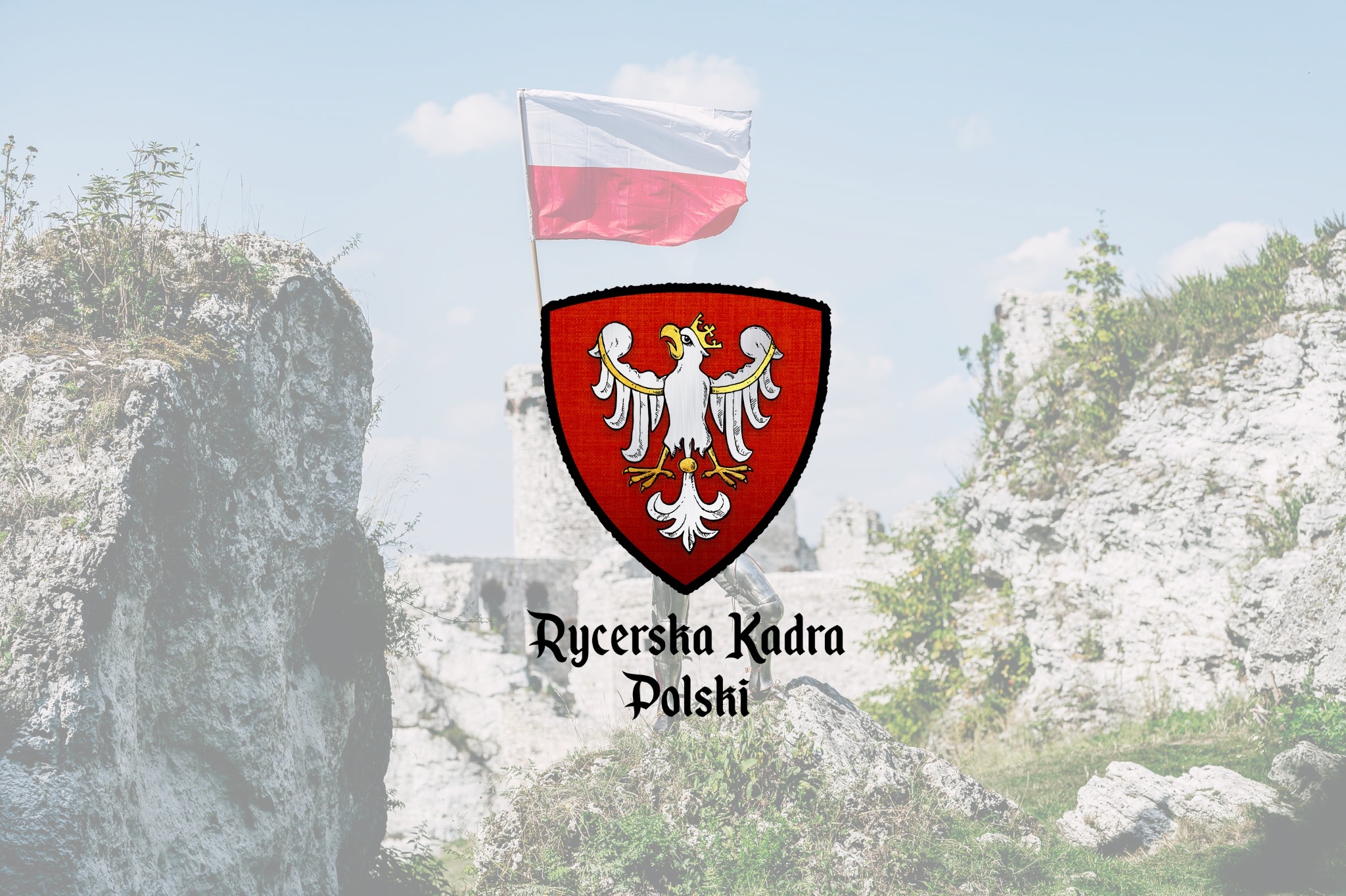 Polish crest with a castle and flag in the background.